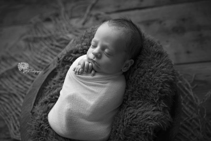 Fort Bend twin newborn photographer