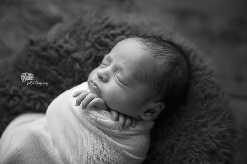 Conroe twin newborn photographer
