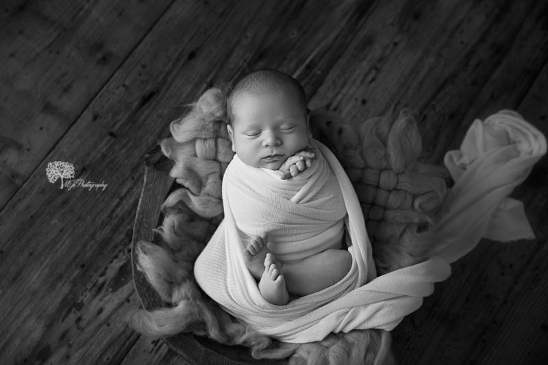 Hallsville newborn photographer