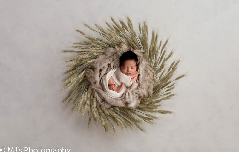 Katy newborn family photographer- MJ’s Photography