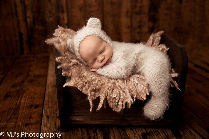 katy newborn photographer
