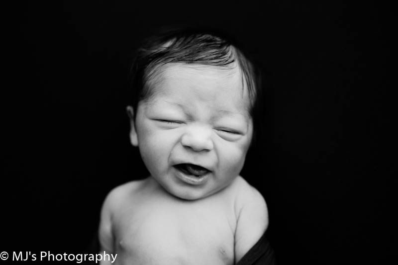 katy newborn photography