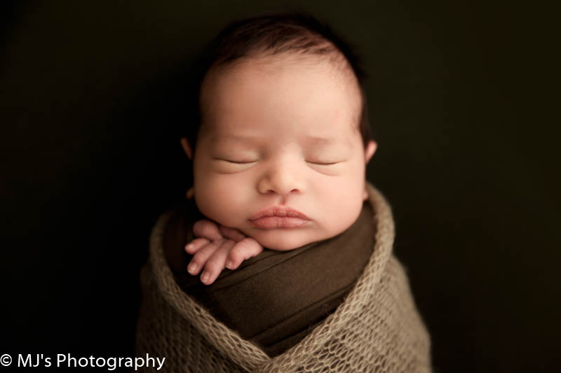 katy newborn photographer