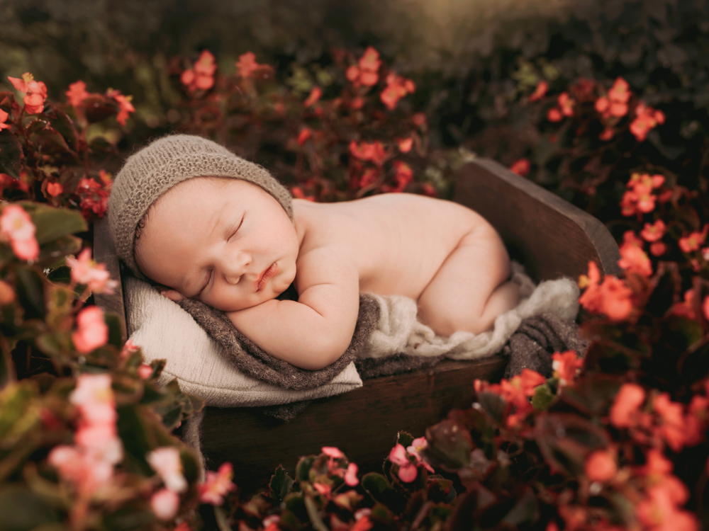 outdoor newborn photography in houston