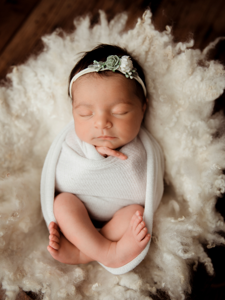 cypress newborn photography
