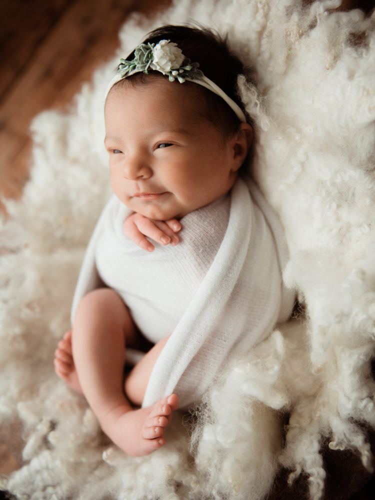 Katy newborn portraits