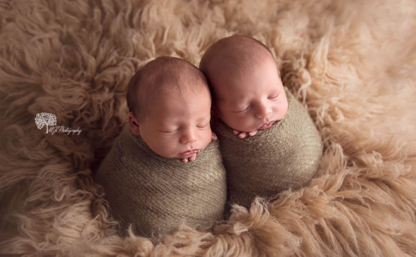 Katy newborn photography – twin boys