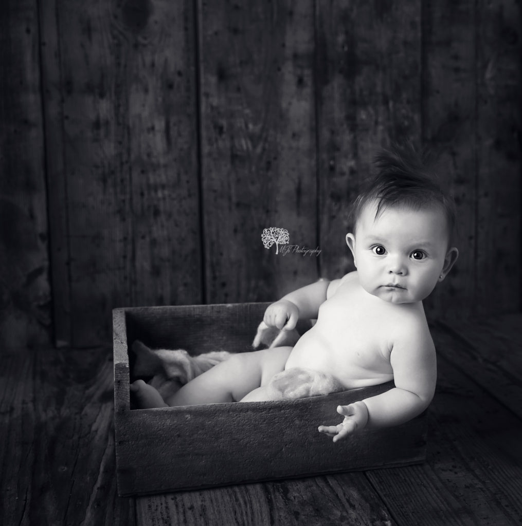 Fulshear baby photography