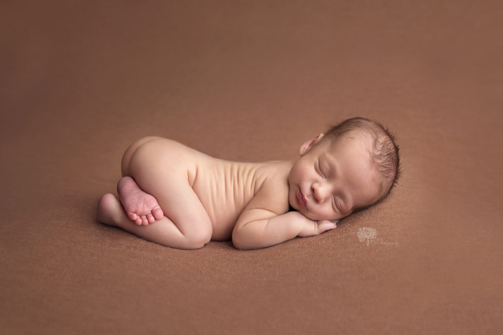 Cypress Texas twin newborn photographer