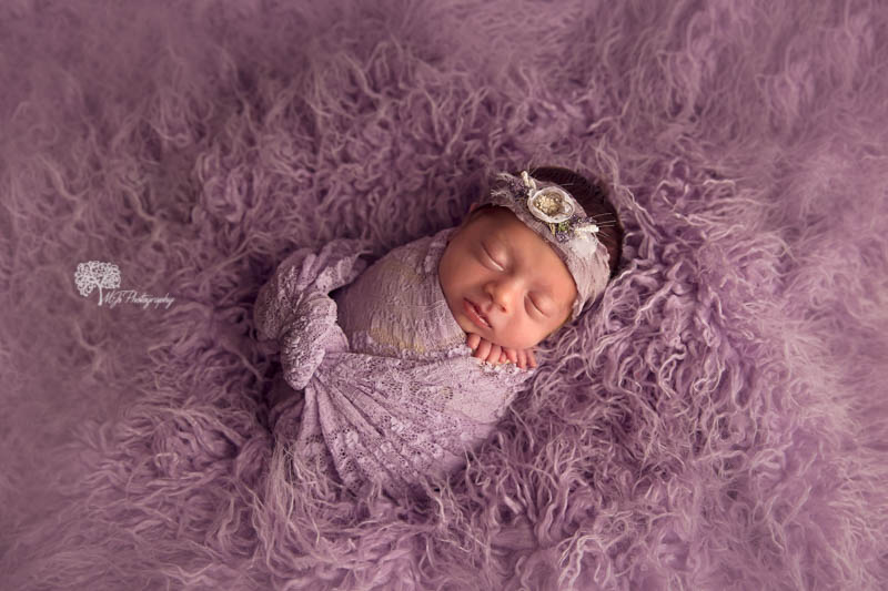HTX newborn maternity photographer