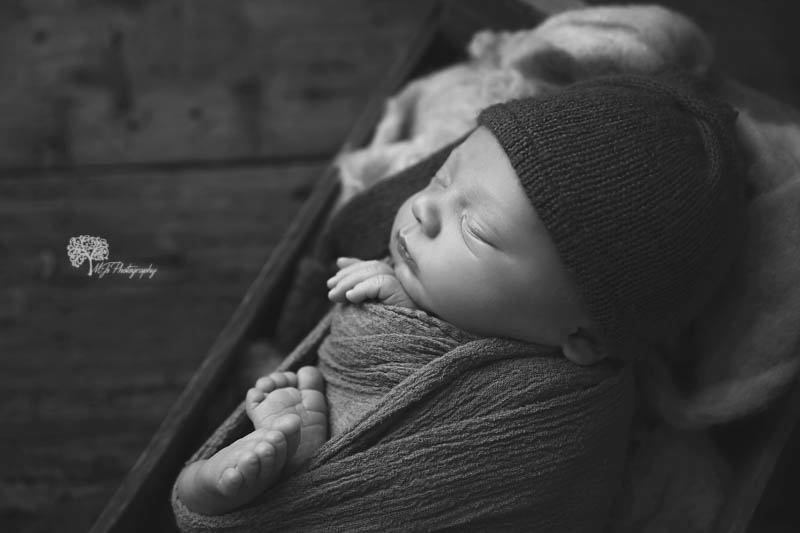 Fulshear newborn photography