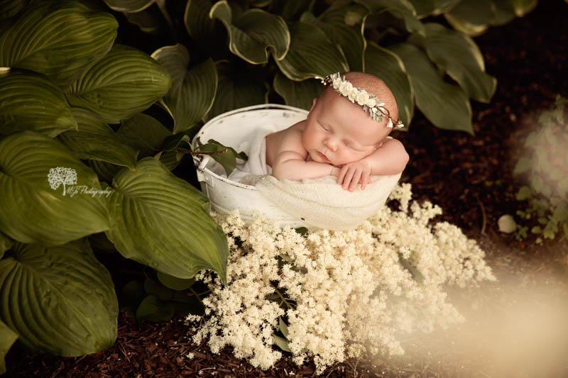 Newborn photography in Memorial