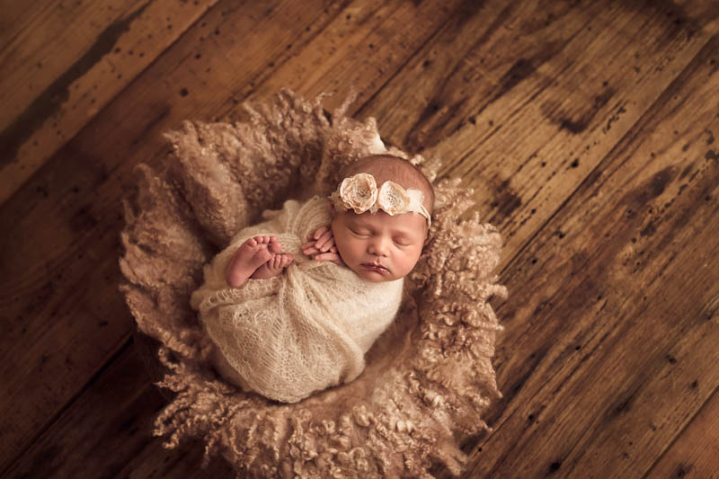 katy newborn photographer