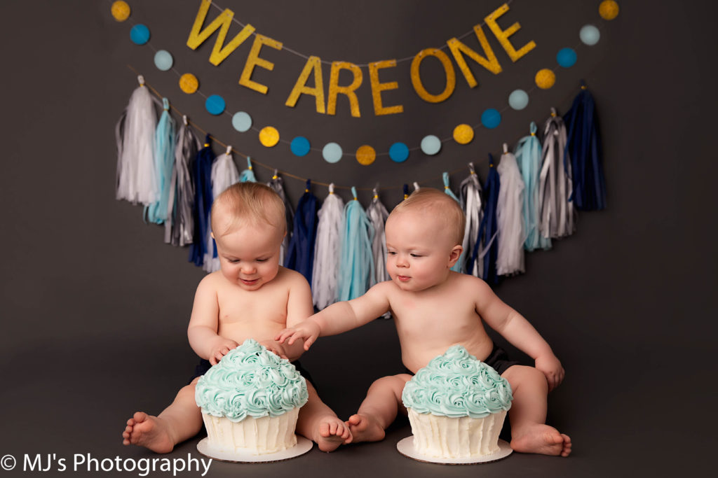 katy twin newborn photography