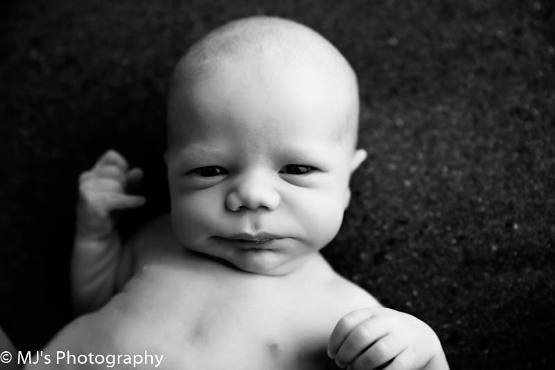 luxury newborn photographer 