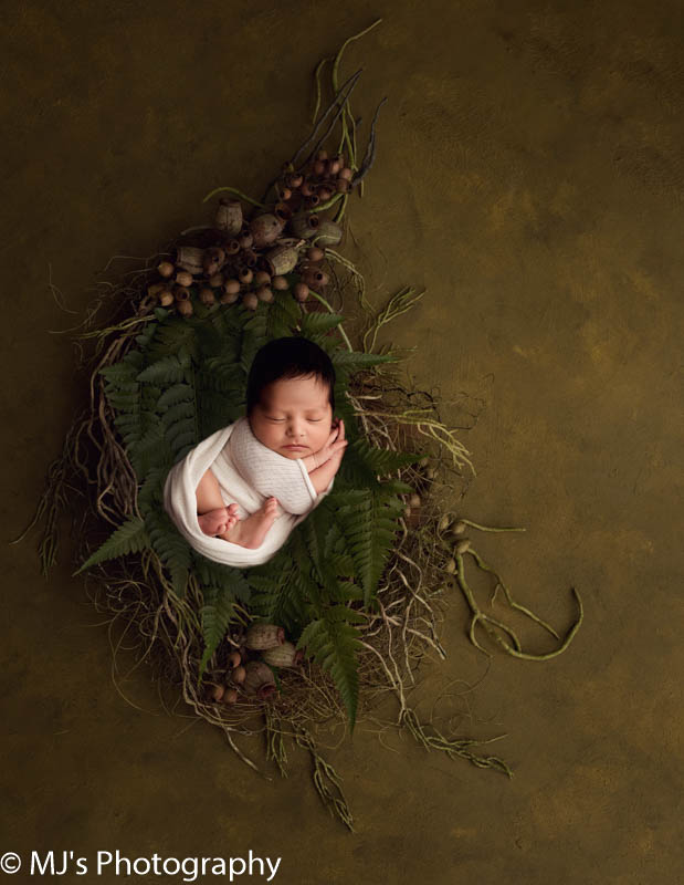Katy newborn family photographer