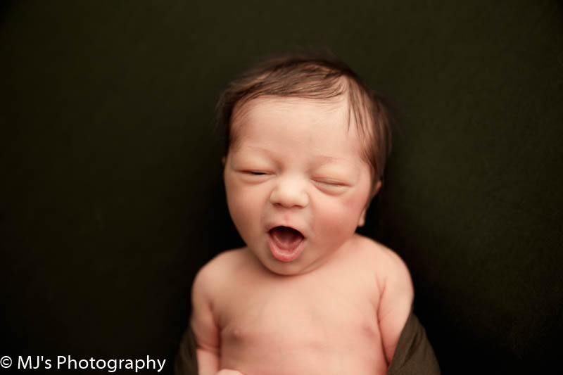 katy newborn photographer