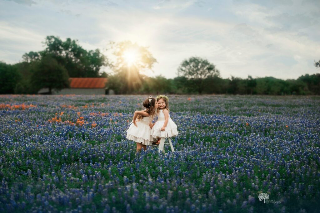 Houston bluebonnet photographer