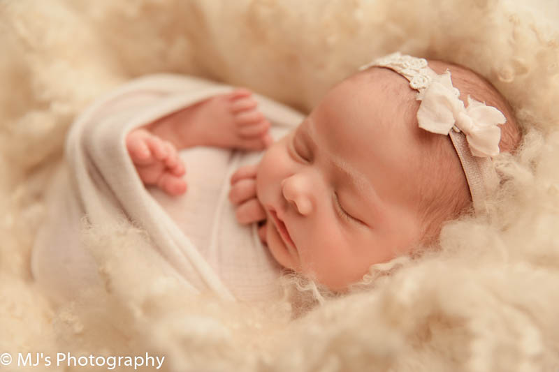 katy newborn photographer