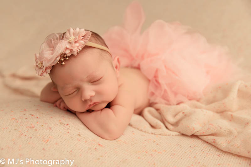 houston newborn photographer