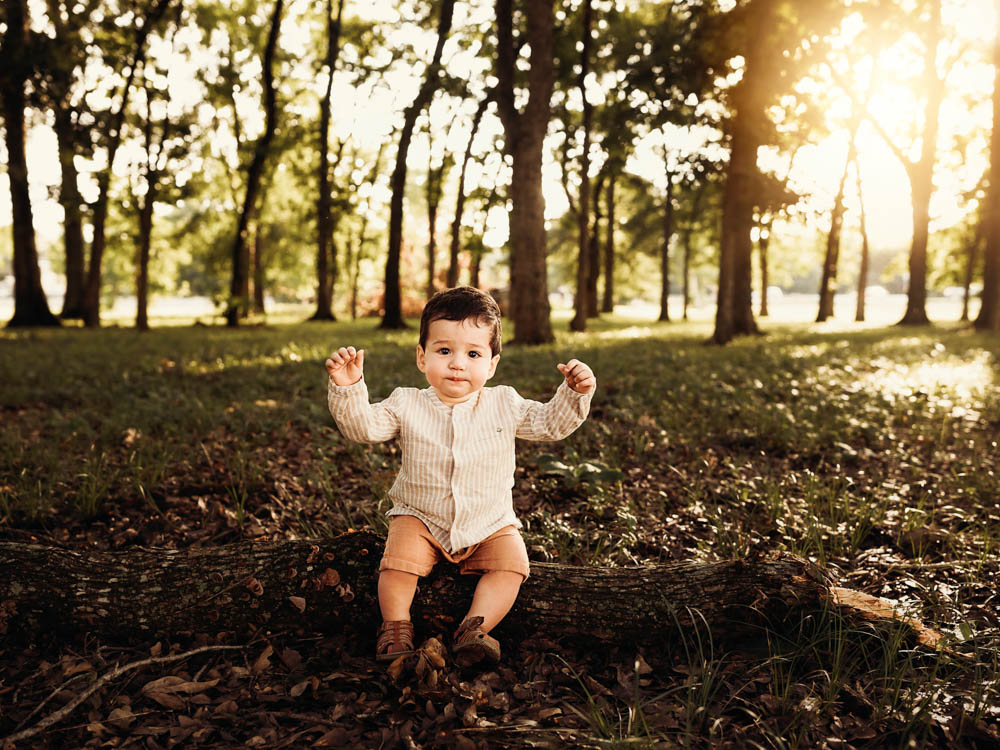 westin lakes family photographer