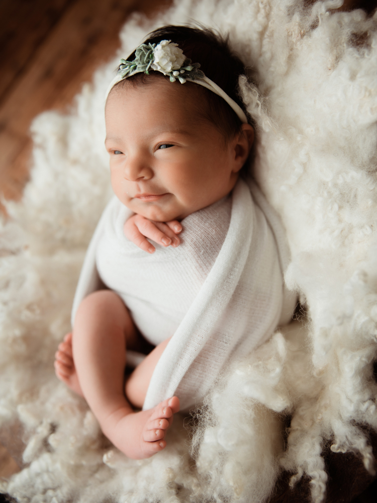 Katy newborn photographer