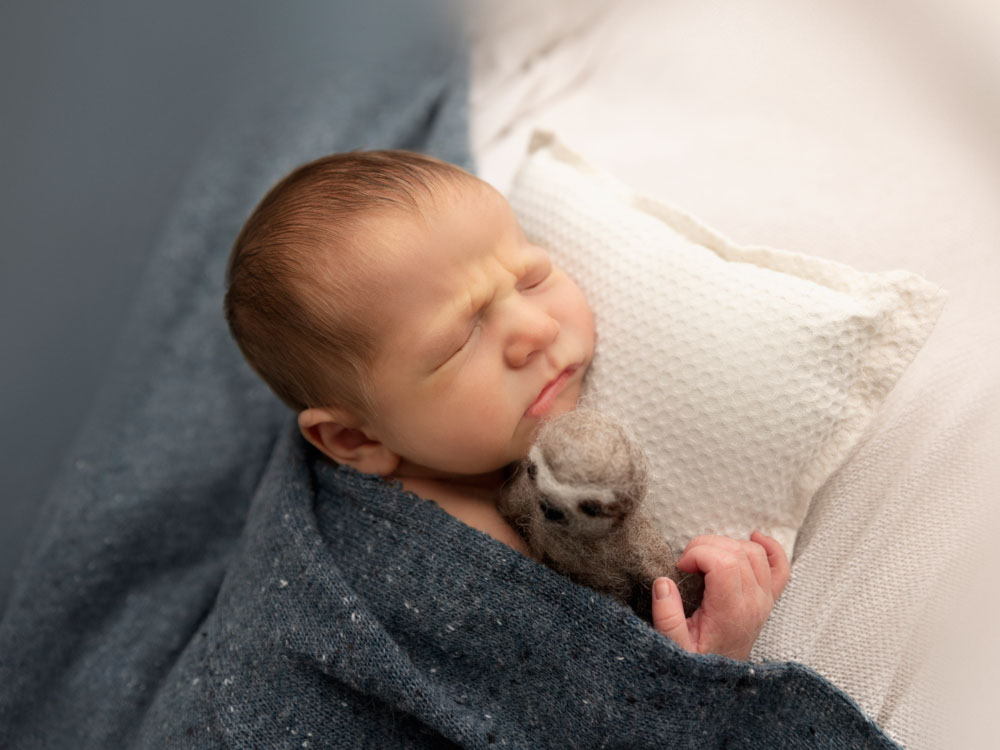katy newborn photography