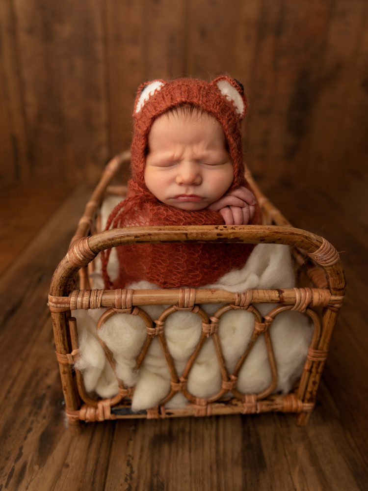 Katy newborn photography studio